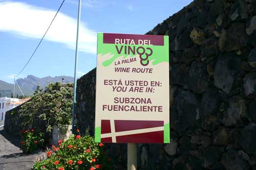 Weinroute auf La Palma