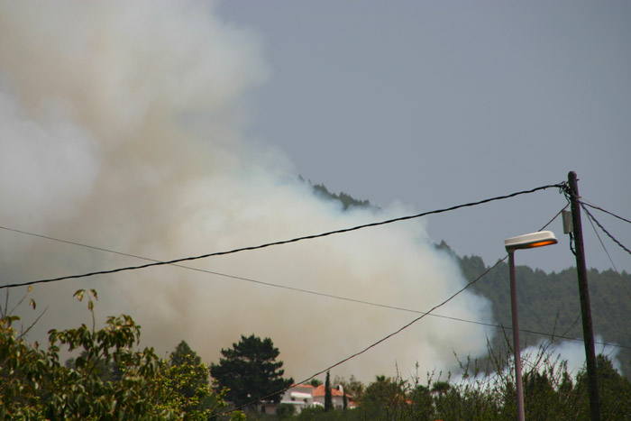 Feuer in Tacande, El Paso, La Palma, am 15.5.2012